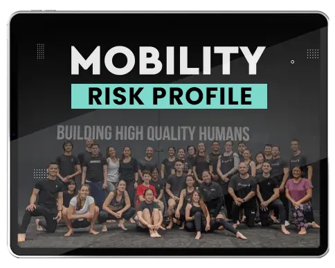 Mobility Risk Profile